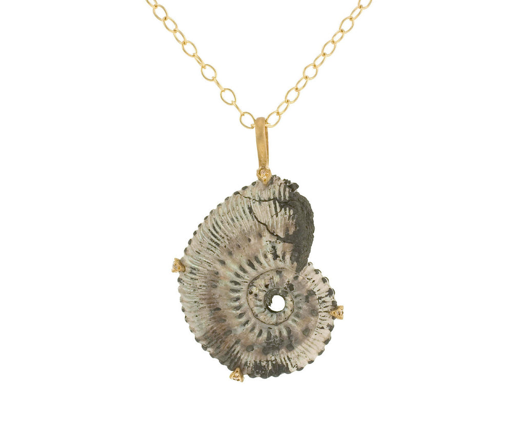 Fossil Pendant zoom 1